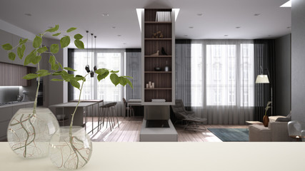 White table top or shelf with glass vase with hydroponic plant, ornament, root of plant in water, branch in vase, house plant, blurred kitchen, living room background, interior design