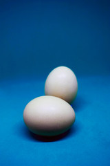Two white chicken eggs on a blue background. Copy space, close-up.