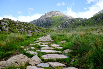 Stone footpath leading towards mountains