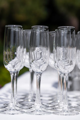 Set of blank empty wine glasses displayed in rows. Preparation for the holiday.
