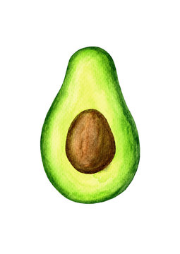 Watercolor avocado slice illustration. Hand drawn object for design isolated on white background