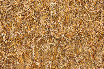 Cereal straw background, hay in the barn. Haystack. Feed and litter for agricultural livestock, farm animals. Dry grass texture