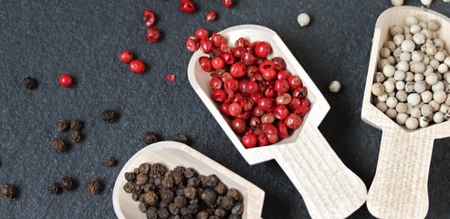 Pepper Peas Different Types against the background of black slate. Pepper Peas-Black, White, Red. copy space. space for text