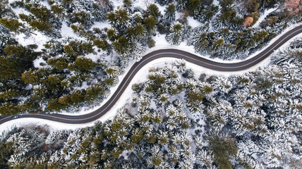 Obraz na płótnie Canvas Winding Lane Road in Winter Woodland. Top Down Aerial View