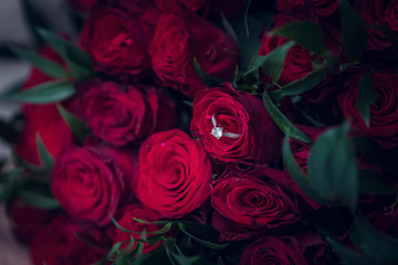 red roses