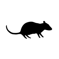 Silhouette of rat vector icon in flat style