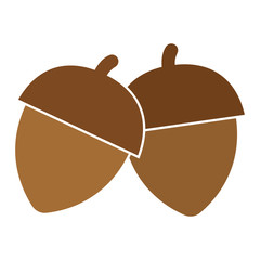 Isolated acorn icon