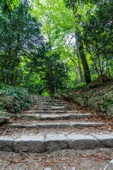 Märchentreppe in einem Waldstück