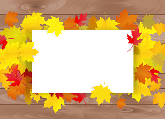 Naklejka na ściany i meble Autumn poster design. Maple leaves yellow and red. Vector illustration.
