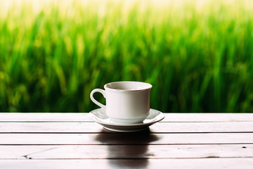 White tea Cup on a beautiful background. White coffee Cup on the background of rice terraces in Bali. White tea Cup on a saucer. Cup on a beautiful background. Close-up photo of a mug