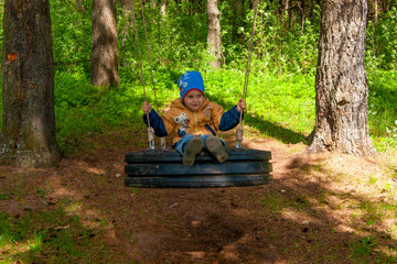 Fototapeta premium A boy swinging on a swing in the forest