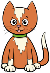 cat or kitten cartoon animal character
