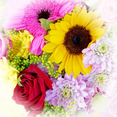 various colorful flowers bunch top view close up, filtered image as natural background