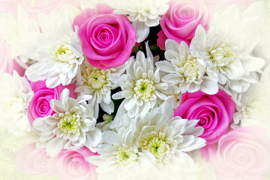 violet colored roses and white chrysanthemums bouquet top view close up, filtered image as a natural background