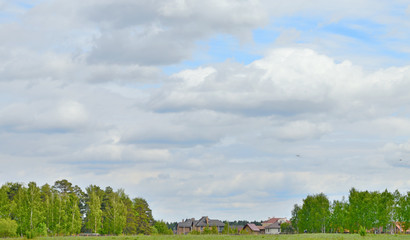 houses in a field near the forest