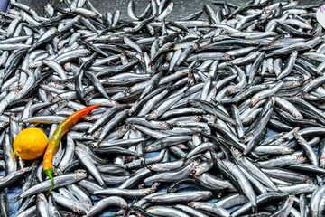 View of a market stall with superimposed farm-fresh fish to sell in Istanbul Turkey.