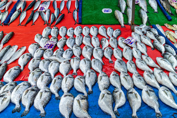 View of a market stall with neatly placed farm-fresh fish to sell in Istanbul Turkey.