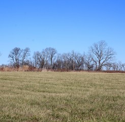 The grass field in the country on a bright sunny fall day.