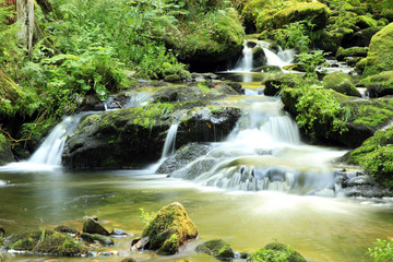 Ravennaschlucht Schwarzwald