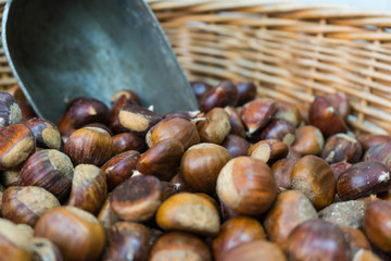 Organic chestnuts from the south of Italy II