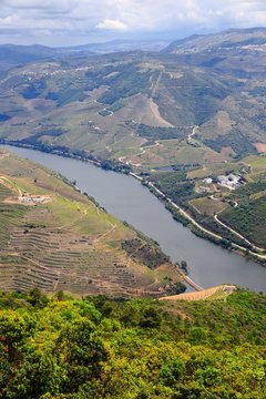 Douro Valley, Portugal