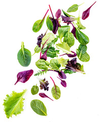 Flying Salad Leaves isolated on white background.   Assortment  with arugula, lettuce, chard,...