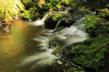 Ravennaschlucht Schwarzwald