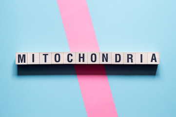 Mitochondria word concept on cubes