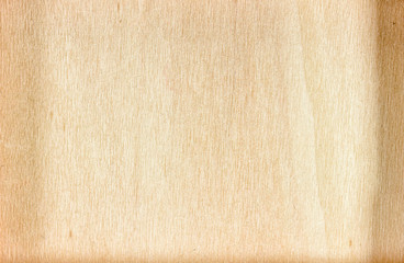 Fototapeta premium Wood texture background
