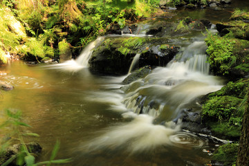 Ravennaschlucht Schwarzwald