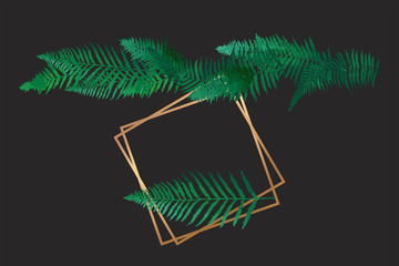 Fern green leaves border, basis element isolated - obrazy, fototapety, plakaty