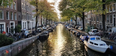 Fototapeta premium canal in amsterdam