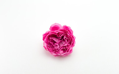 Pink artificial flower. White background.