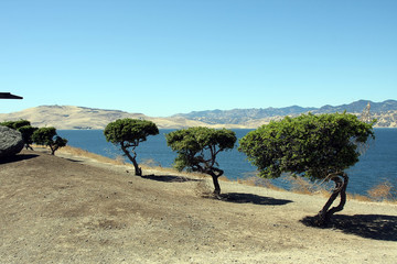 Dam, Water, Reservoir, Power station, San Luis Reservoir, California, USA