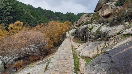 Fototapeta premium View of a rocky mountain canyon and autumnal colorful forest