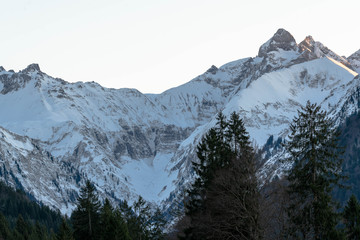 the mountain masked a bit by the fir forest in winter