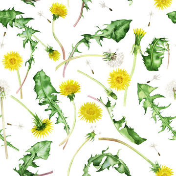 Realistic hand-drawn watercolor seamless pattern. Yellow dandelions with leaves on a white background. Beautiful image for print, textile, postcards, packaging, design.