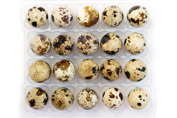 Quail eggs in open transparent packing box on white background, top view