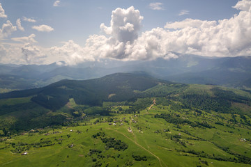 Aerial view of green Carpathian mountains covered with evergreen spruce pine foreston summer sunny day.