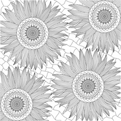 Black and White Sunflowers for coloring