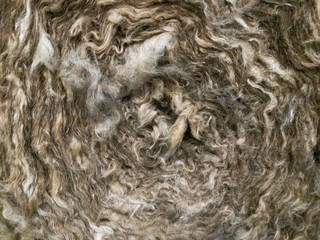 Close up of roll of wool. Wool stock images 