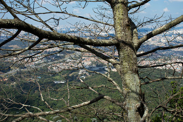 Pico do Jaragua - City of São Paulo