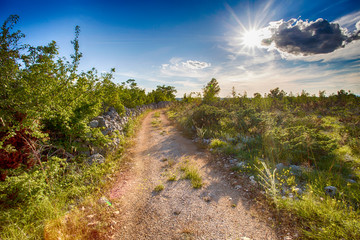 Dalmatian outback landscape