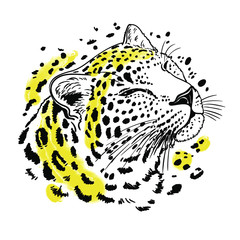 Leopard portrait isolated on white background. Squinting eyes. Template. Close-up. Clip art. Hand Painting. Ink. Line art, black and white. Vector. Line art. Muzzle