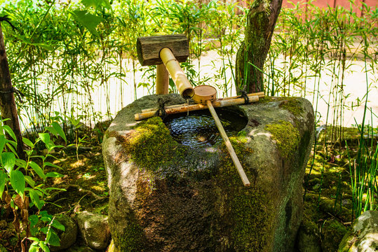 Japanese cho-zu. Japanese green garden.beautiful japanese green park in summer time.