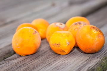 Corozo tropical fruit 