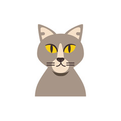 Cute light brown cat cartoon vector design