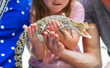 The child holds a small crocodile in his hands. Selective focus.