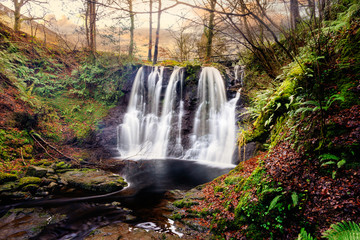 Cascades and waterfalls on a mountain stream or creek, between mossy rocks, in Glenariff Forest Park in autumn, County Antrim, Northern Ireland