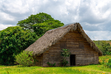 Fototapeta na wymiar Tobacco shed or barn for drying tobacco leaves in Cuba